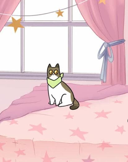 爱翻垃圾的猫