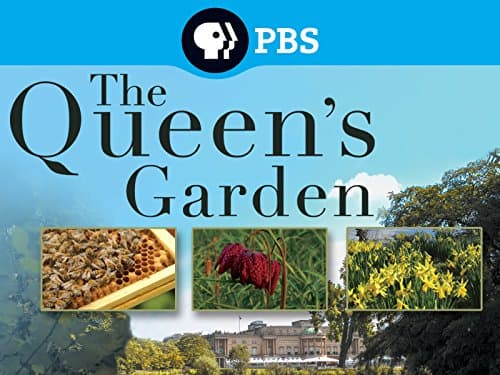 The Queen's Garden