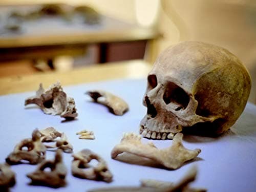 The Skeletons of Windy Pits