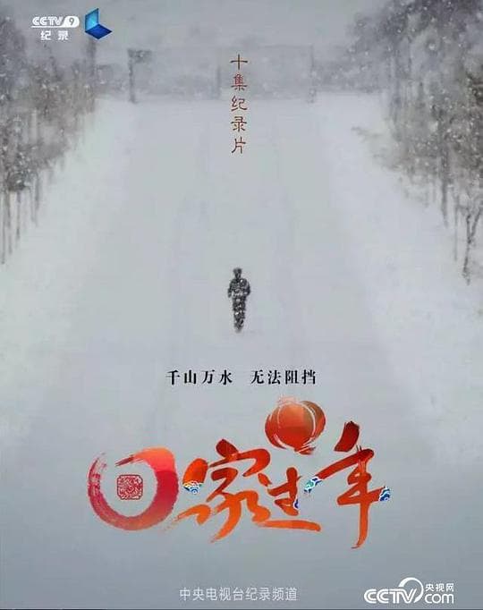 回家过年 第一季