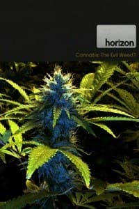 BBC 地平线系列：大麻：罪恶之种？