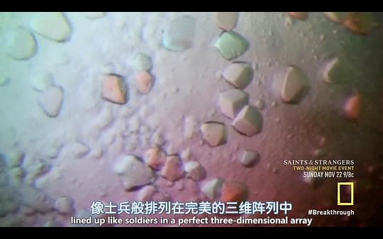瘟疫抗战
