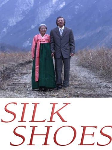 Silk Shoes