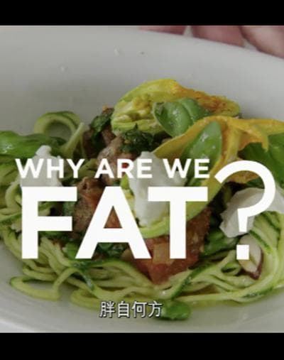 胖自何方？