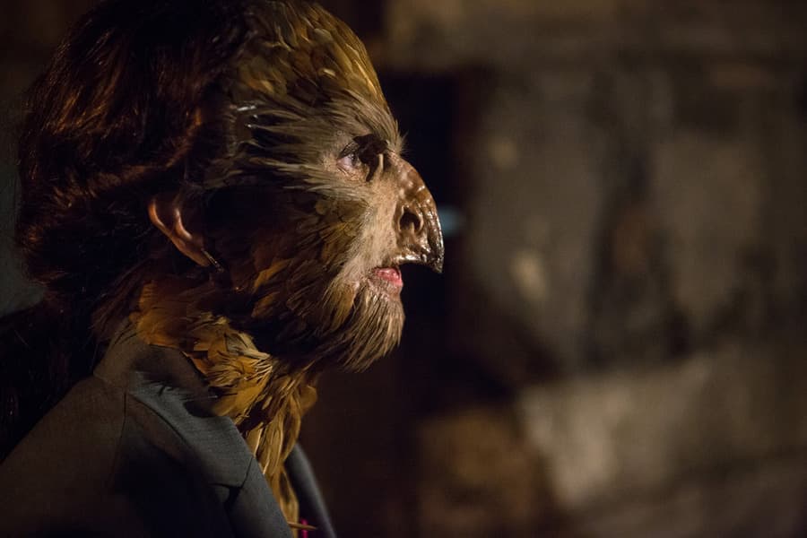 The Grimm Identity