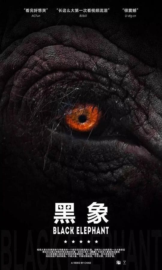 黑象