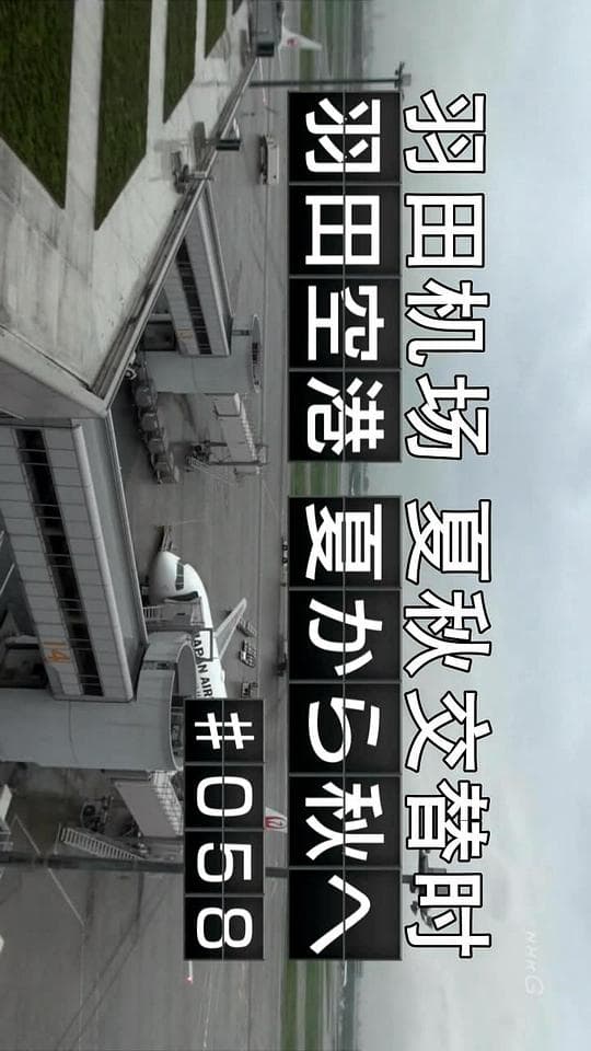 纪实72小时 羽田机场 夏秋之交