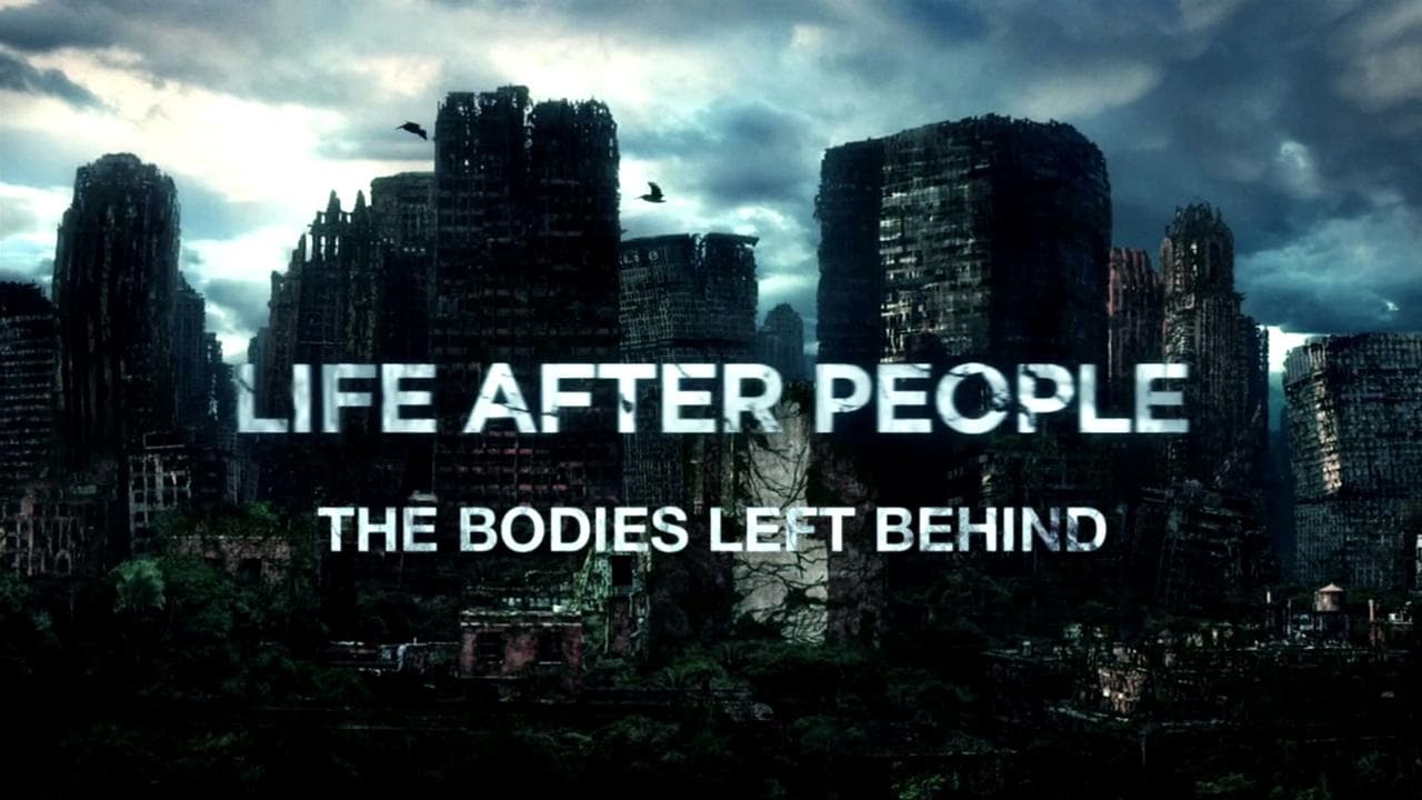 Life After People