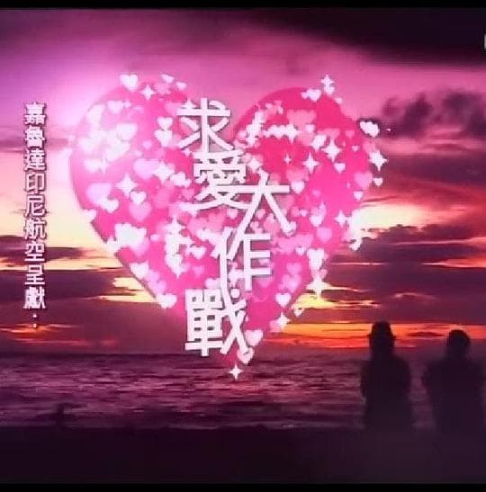 求爱大作战