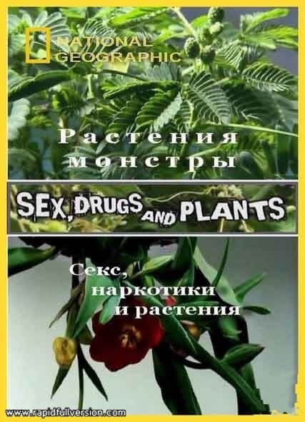 国家地理 植物的奥妙世界