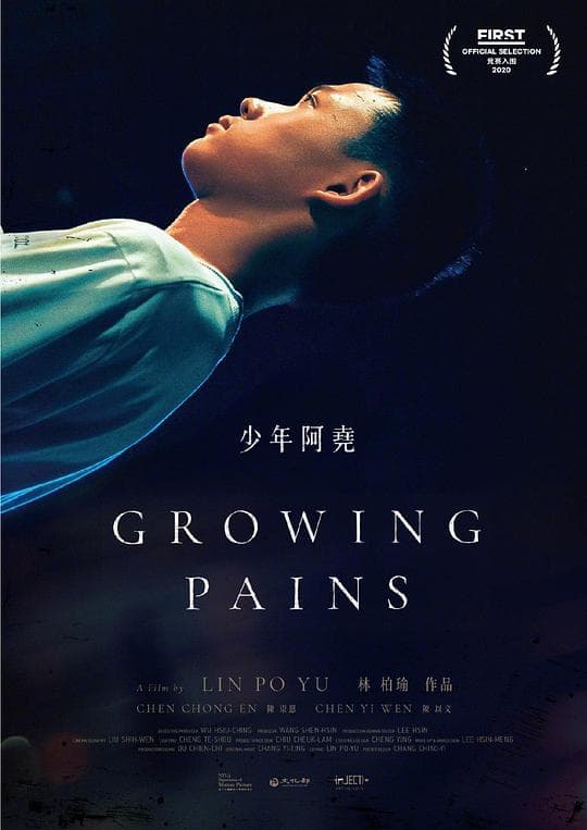 少年阿尧