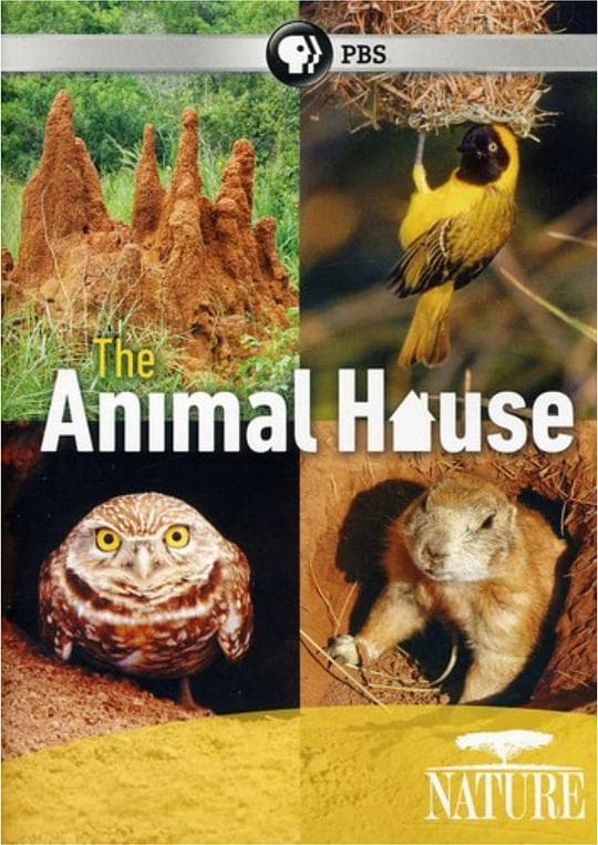Natural World Season 30