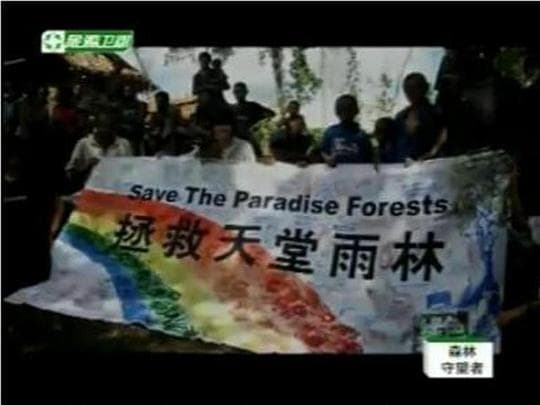 森林守望者