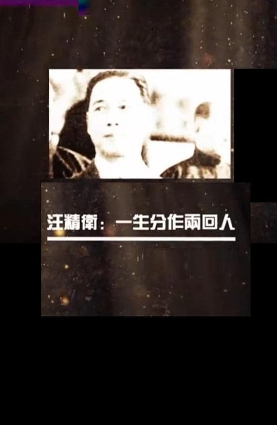 汪精卫：一生分作两回人