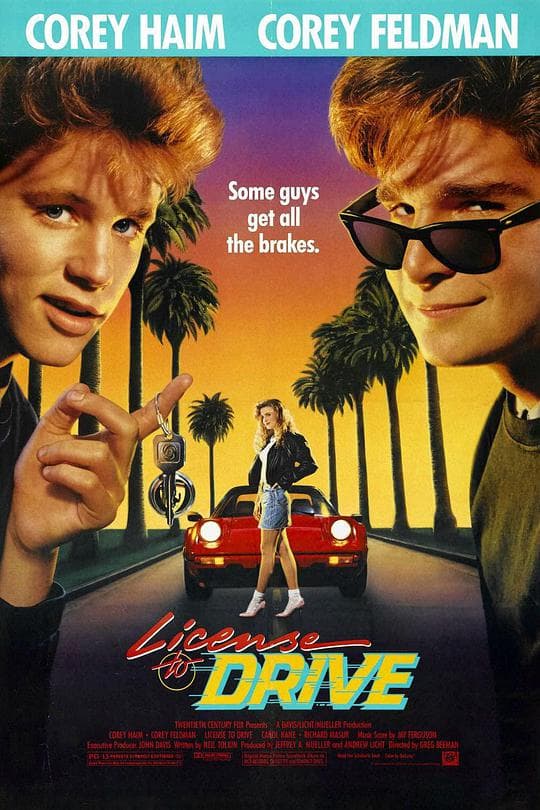 驾驶执照