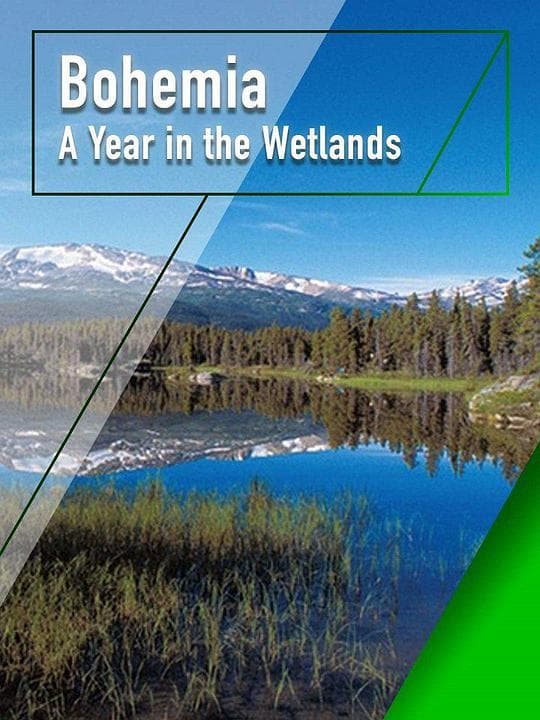 Bohemia: A Year in the Wetlands