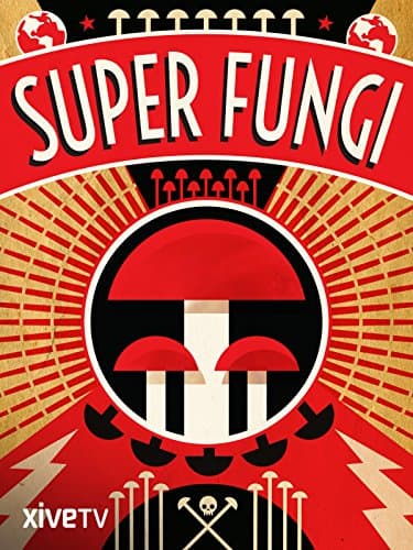 Super Fungi: Can Mushrooms Help Save the World?