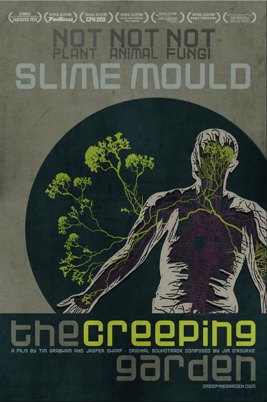 The Creeping Garden