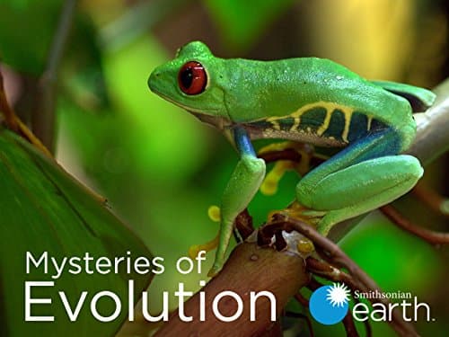 Mysteries of Evolution
