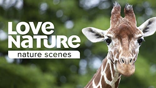 Nature Season 35