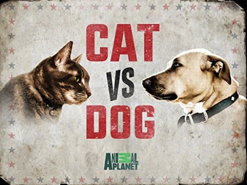 Cat Vs. Dog