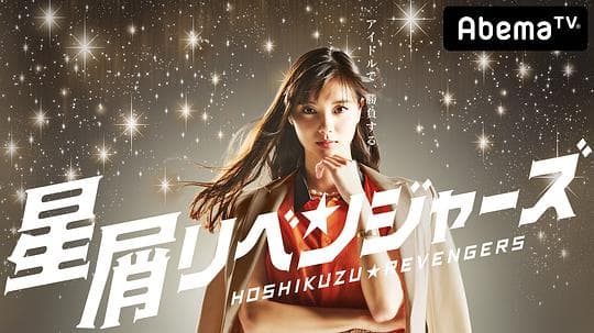 星屑复仇者