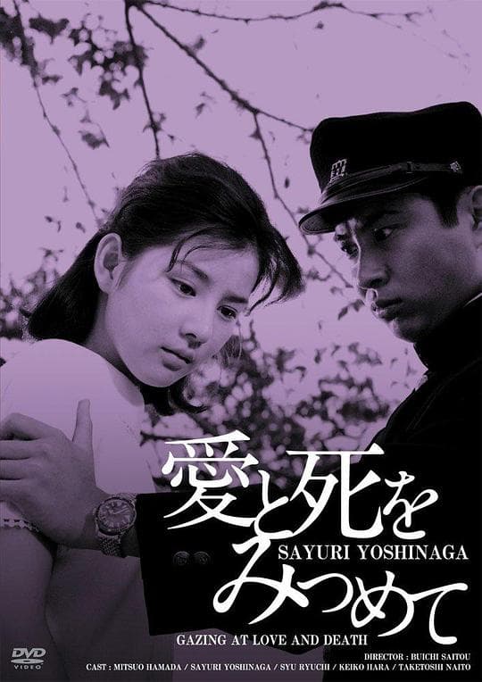 凝视爱与死