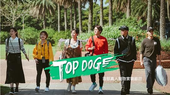 TOP DOG