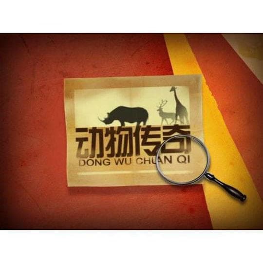 动物传奇