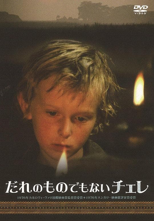 小孤儿