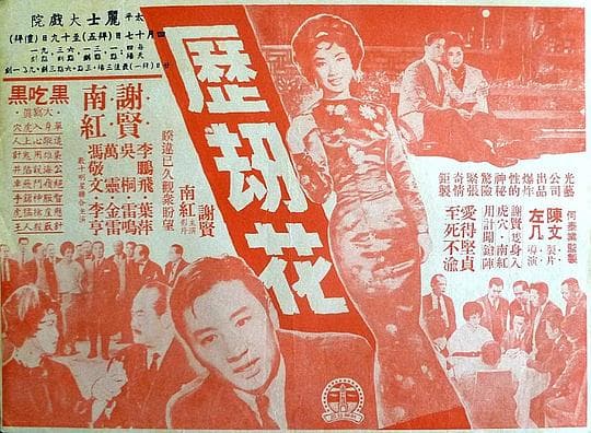 历劫花