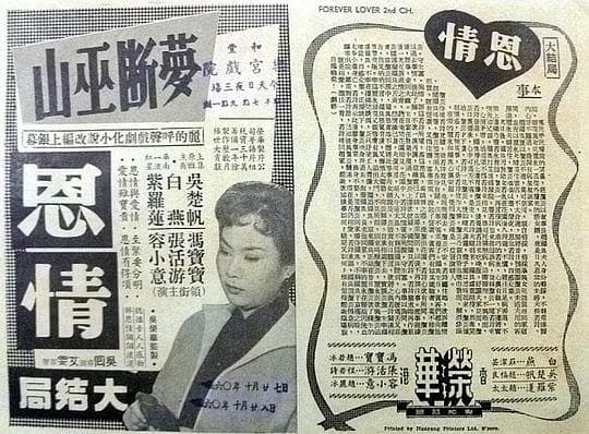 恩情(下集)