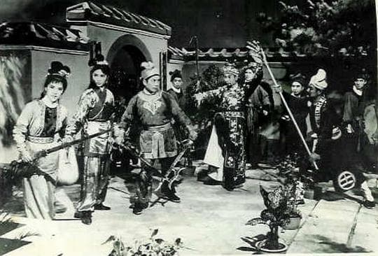 万毒金蝉