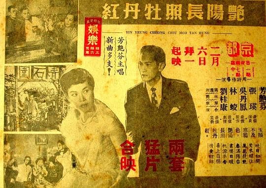 艷陽長照牡丹紅