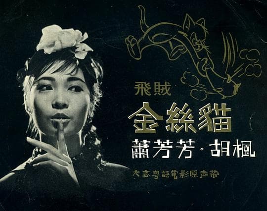 飞贼金丝猫