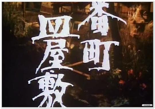 数盘怨女