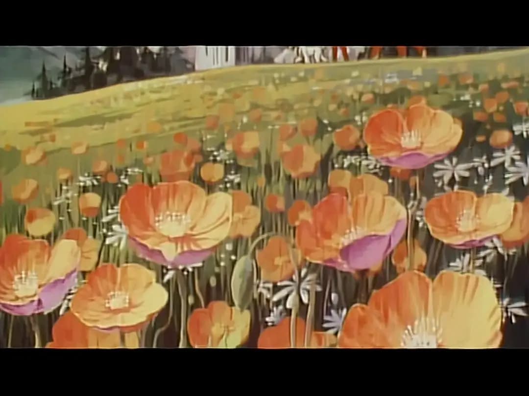 你好，樱花之国