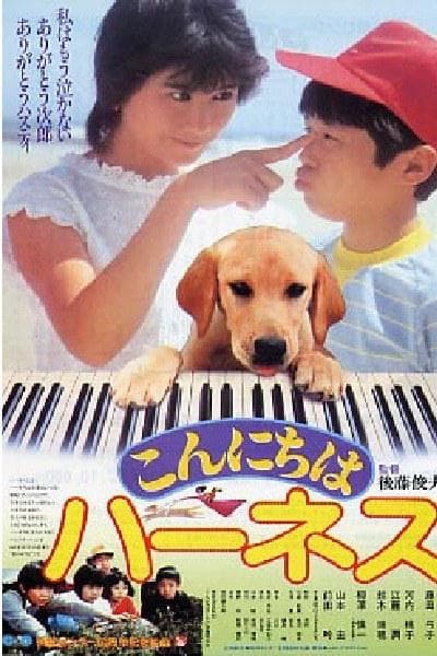 导盲犬哈斯蒂