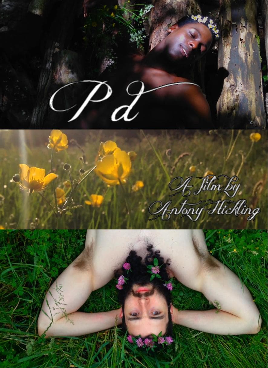 P.D