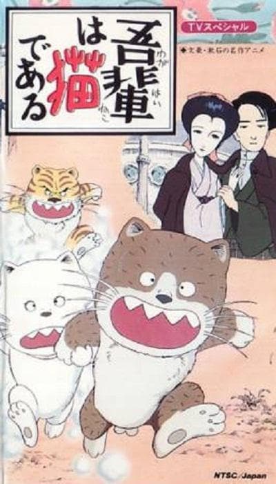 我是猫