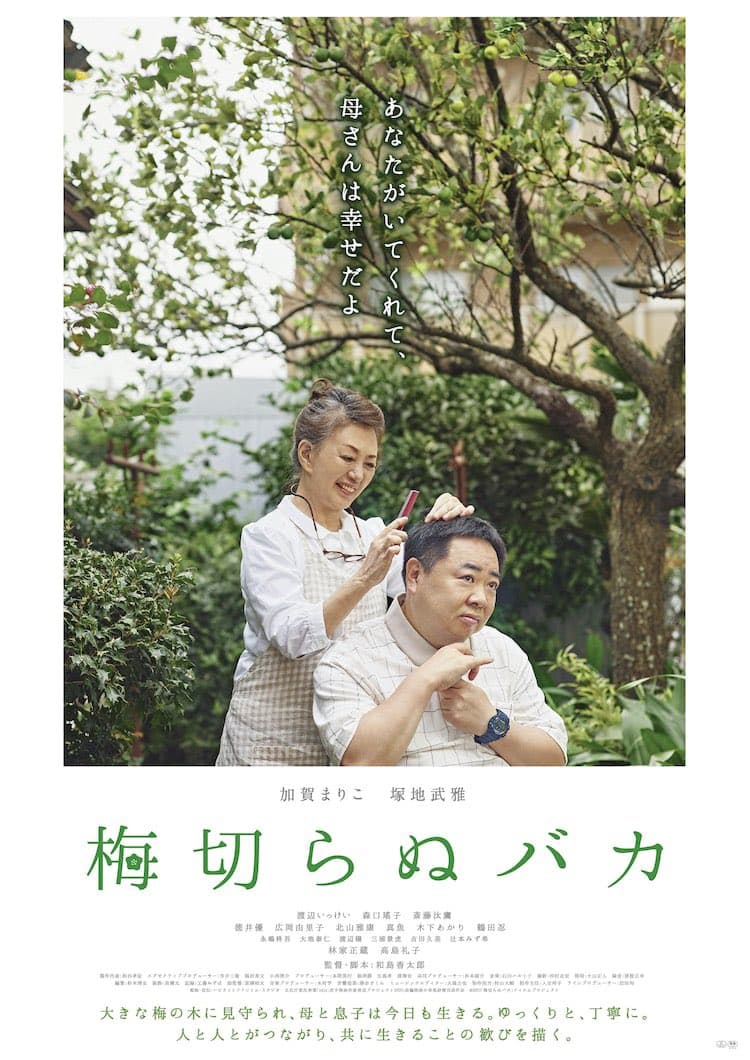Ume kiranu baka