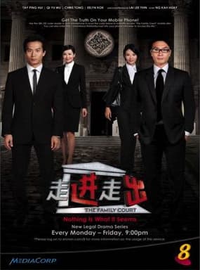 The Family Court