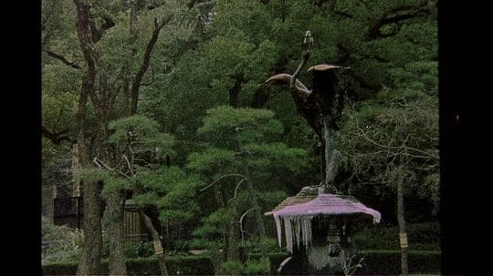 生死之间的孤独