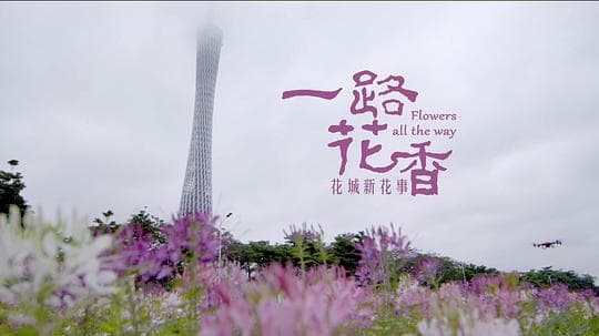 广府春秋 第三季：一路花香
