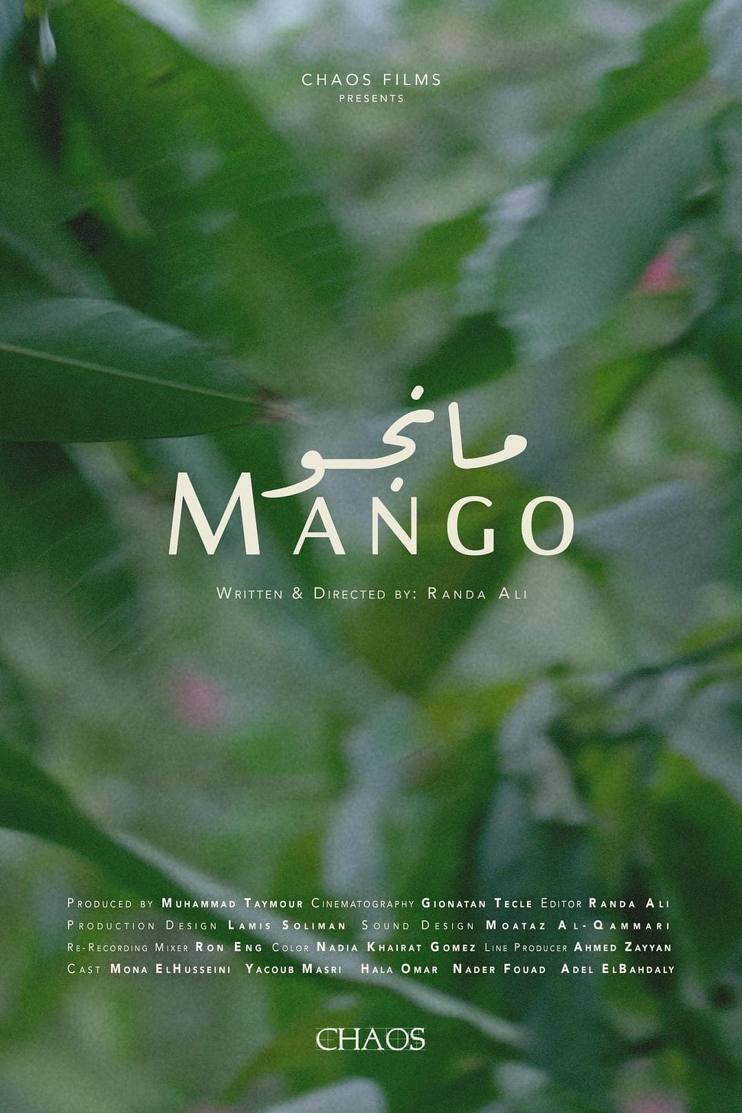 Mango