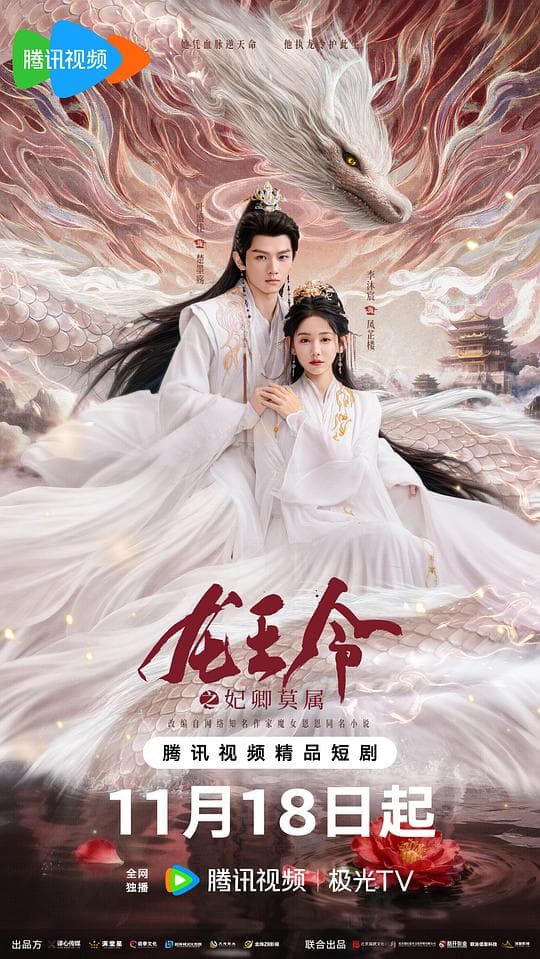 龙王令之妃卿莫属
