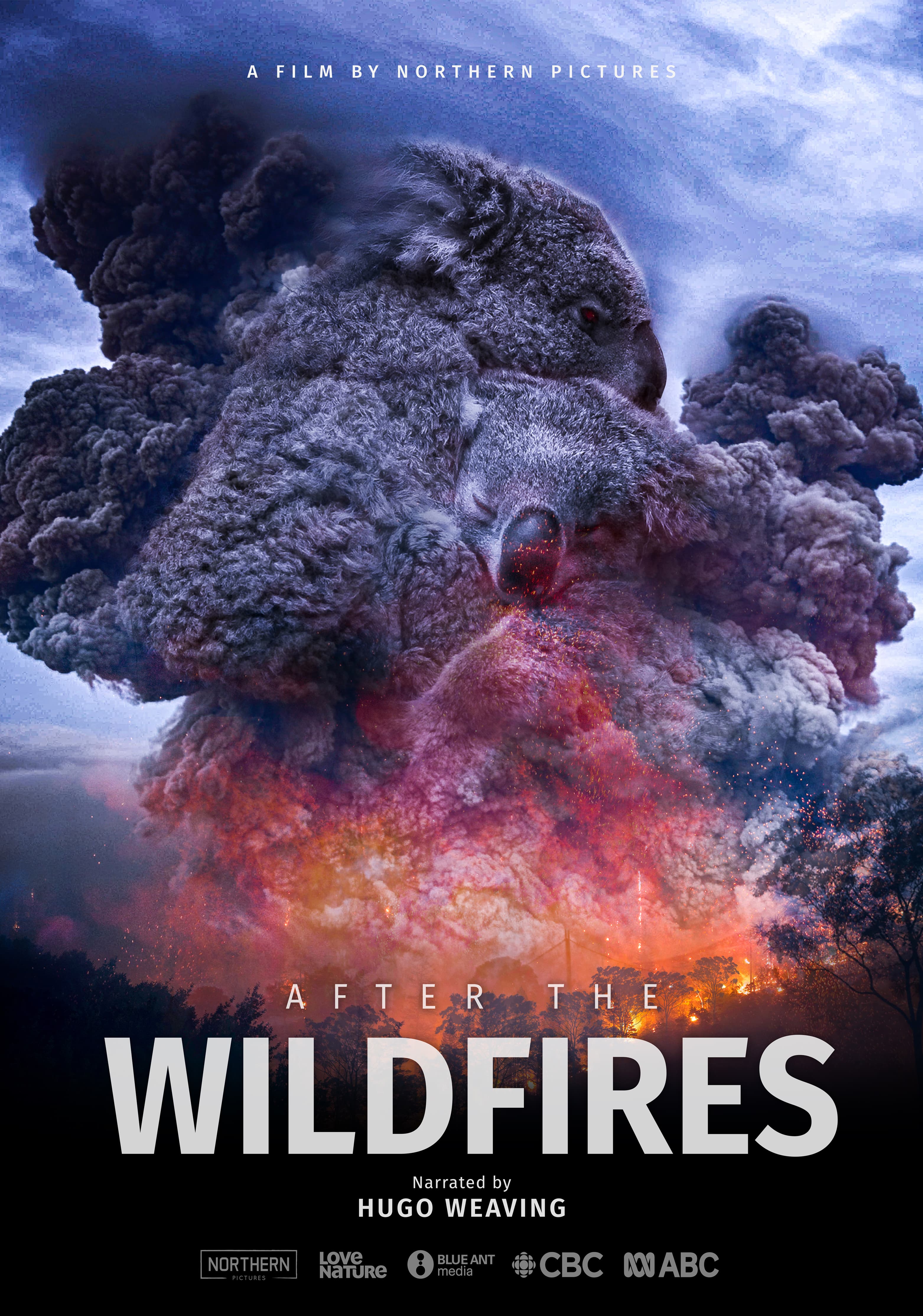After the Wildfires