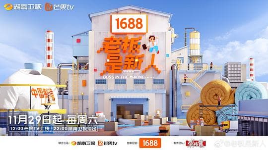 老板是新人