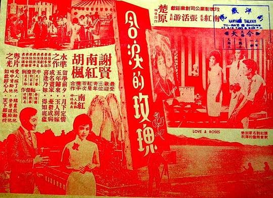 含泪的玫瑰