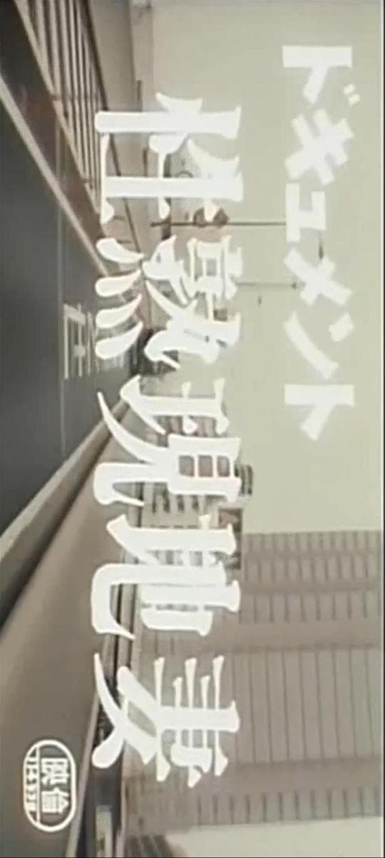 ドキュメント 性熟現地妻